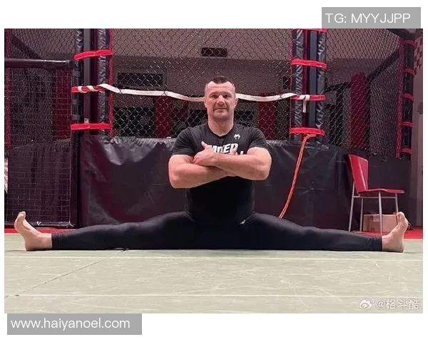 菲多与马特的巅峰对决谁将成为拳击界的新传奇 菲多与马特的巅峰对决谁将成为拳击界的新传奇