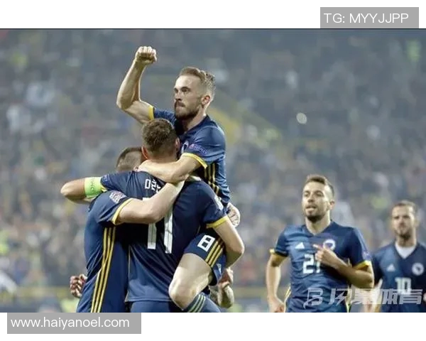 芬兰与波黑的比赛结果揭晓比分是多少让我们一起关注这场精彩对决